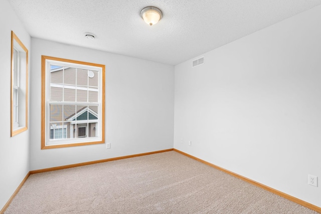 5423 Elm Grove Ave, New Hope, MN 55428 - carpeted spare room featuring a textured ceiling and a smoke detector