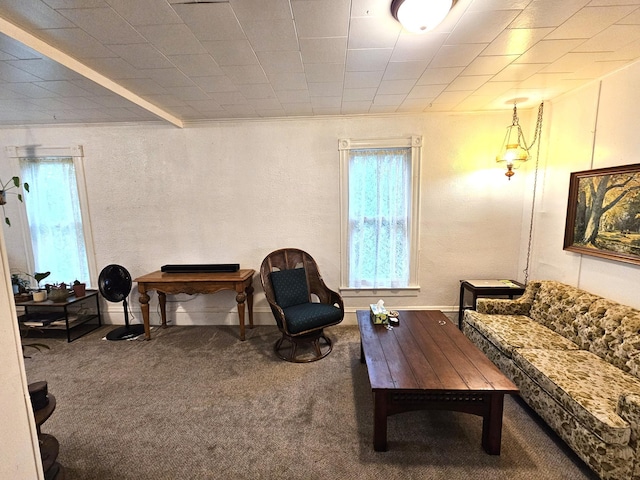 702 Junius Ave, Fergus Falls, MN 56537 - carpeted living area with healthy amount of natural light and a textured wall