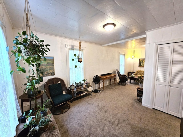 702 Junius Ave, Fergus Falls, MN 56537 - living area with carpet flooring and ornamental molding