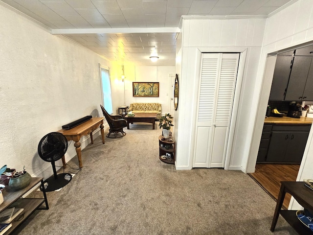 702 Junius Ave, Fergus Falls, MN 56537 - sitting room featuring ornamental molding, carpet floors, and a textured wall
