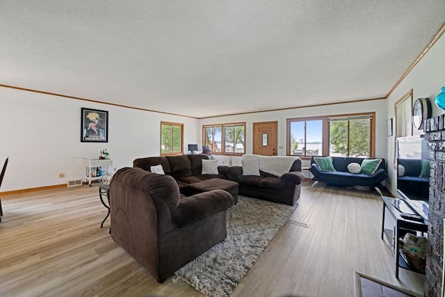 6567 Shore Trl N, Forest Lake, MN 55025 - living room featuring crown molding, light wood-style flooring, and a textured ceiling