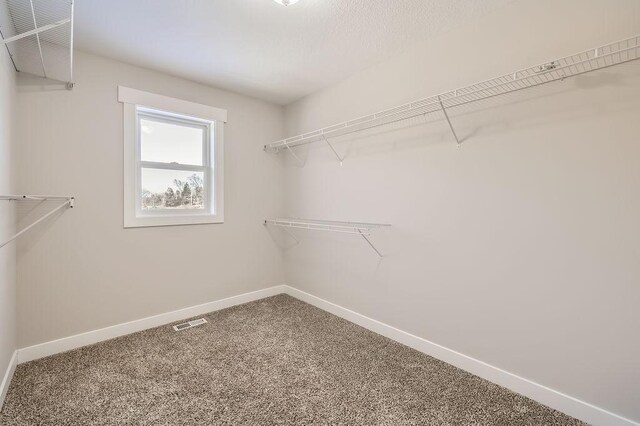 2865 Pilot Knob Rd, Eagan, MN 55121 - walk in closet featuring carpet