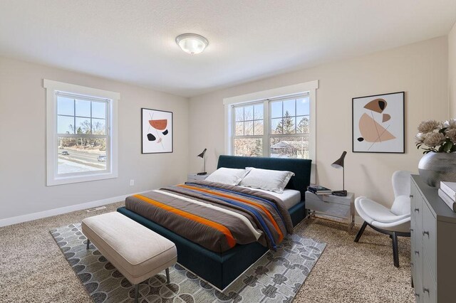 2865 Pilot Knob Rd, Eagan, MN 55121 - bedroom featuring multiple windows, baseboards, and carpet