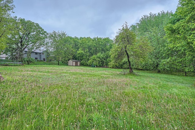 2865 Pilot Knob Rd, Eagan, MN 55121 - view of yard