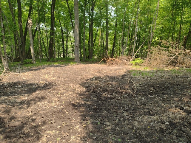 000 Crystal Beach Rd, Lida Twp, MN 56572