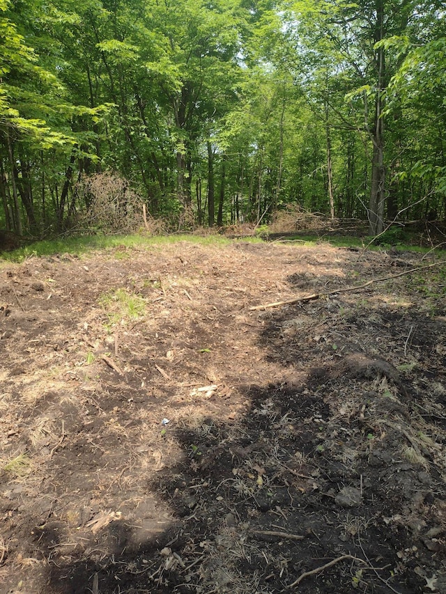 000 Crystal Beach Rd, Lida Twp, MN 56572