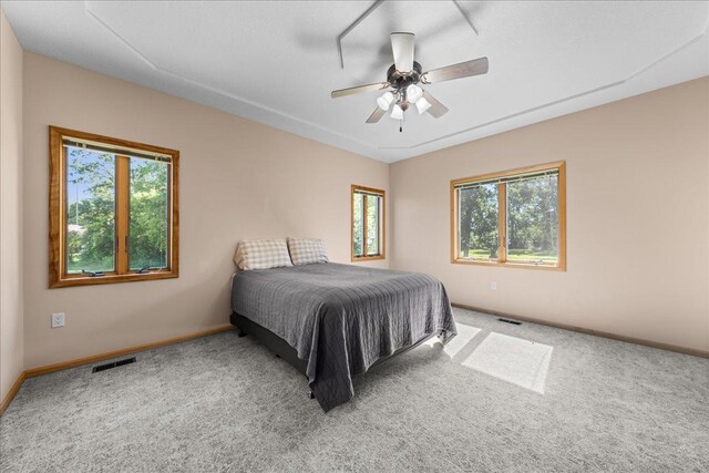 1195 64th St, Hudson, WI 54016 - carpeted bedroom featuring baseboards and a ceiling fan