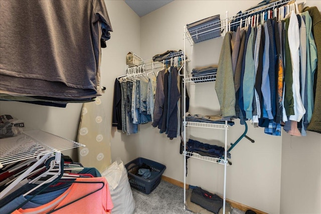 1195 64th St, Hudson, WI 54016 - spacious closet featuring carpet flooring