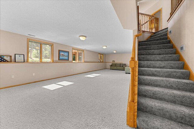 1195 64th St, Hudson, WI 54016 - stairway featuring carpet and a textured ceiling