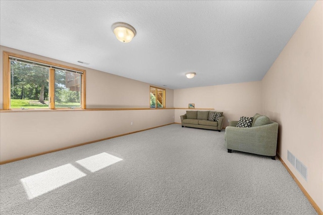 1195 64th St, Hudson, WI 54016 - unfurnished room featuring carpet flooring, plenty of natural light, and a textured ceiling