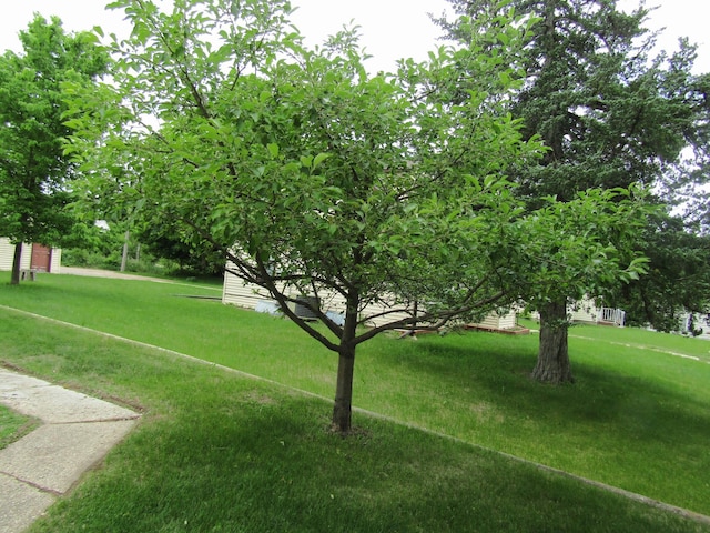 232 Thielke Ave, Appleton, MN 56208 - photo 6