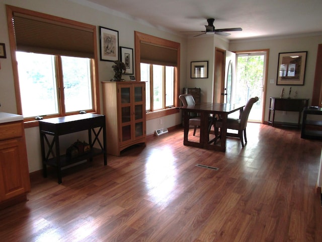 232 Thielke Ave, Appleton, MN 56208 - photo 13