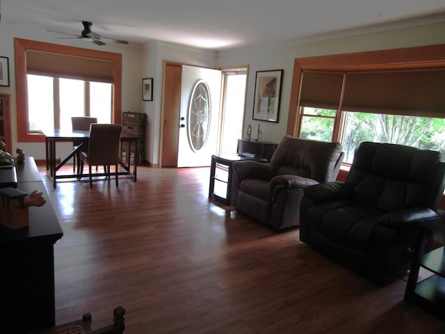 232 Thielke Ave, Appleton, MN 56208 - photo 22