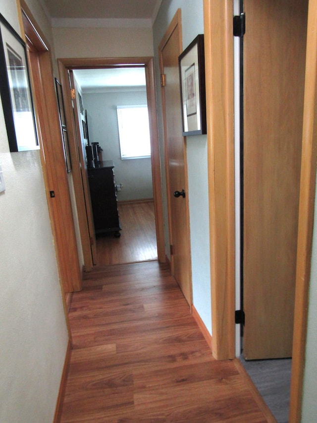 232 Thielke Ave, Appleton, MN 56208 - photo 25