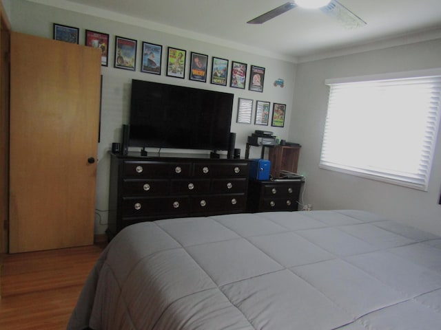 232 Thielke Ave, Appleton, MN 56208 - photo 35