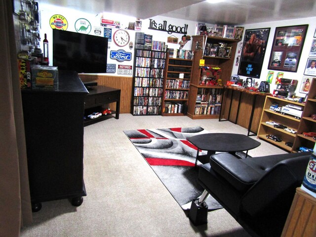 232 Thielke Ave, Appleton, MN 56208 - photo 40