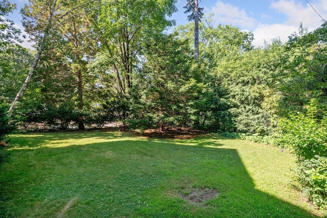 4828 Penn Ave S, Minneapolis, MN 55419 - photo 53
