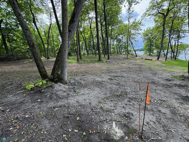 49329 Fish Lake Rd, Dunn Twp, MN 56572