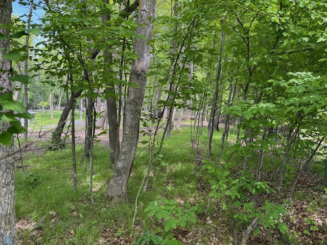 49329 Fish Lake Rd, Dunn Twp, MN 56572