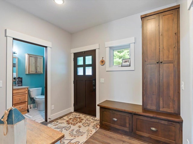 12144 Sylvan Dr SW, Sylvan Twp, MN 56473 - entrance foyer featuring light wood-style floors and baseboards