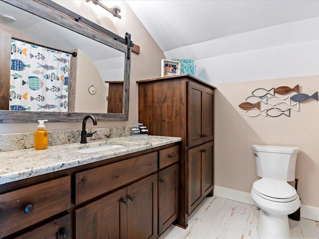 12144 Sylvan Dr SW, Sylvan Twp, MN 56473 - full bath featuring vaulted ceiling, vanity, and curtained shower