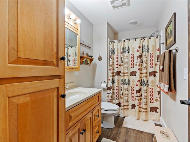 12144 Sylvan Dr SW, Sylvan Twp, MN 56473 - full bathroom featuring vanity, wood finished floors, and curtained shower