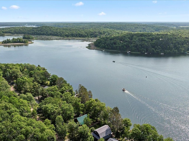 12144 Sylvan Dr SW, Sylvan Twp, MN 56473 - drone / aerial view of a large body of water