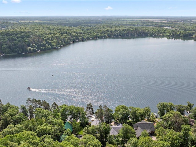 12144 Sylvan Dr SW, Sylvan Twp, MN 56473 - bird's eye view of a nearby body of water