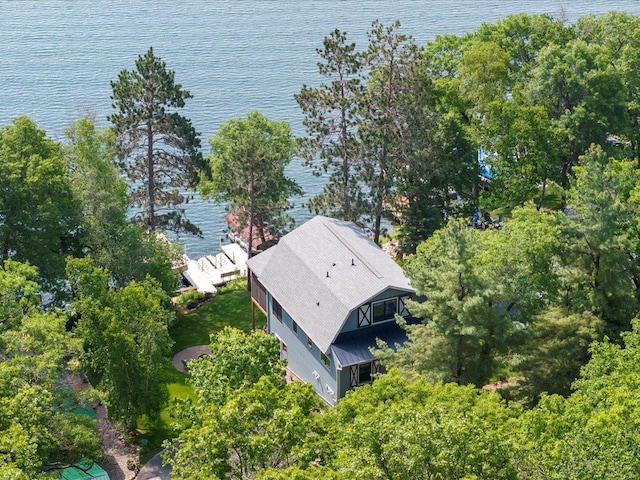 12144 Sylvan Dr SW, Sylvan Twp, MN 56473 - aerial view of property and surrounding area featuring a nearby body of water
