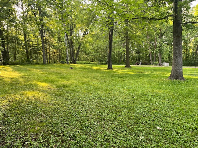 23324 State Highway 107, Grasston, MN 55030 - view of grassy yard