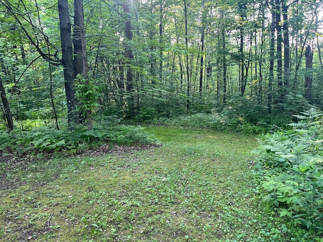 23324 State Highway 107, Grasston, MN 55030 - view of wooded area