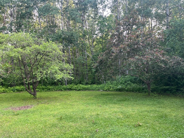 23324 State Highway 107, Grasston, MN 55030 - view of green lawn with a view of trees