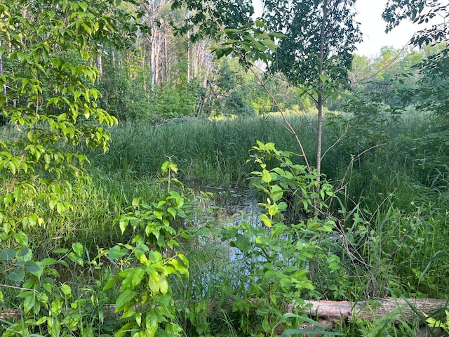 23324 State Highway 107, Grasston, MN 55030 - view of nature