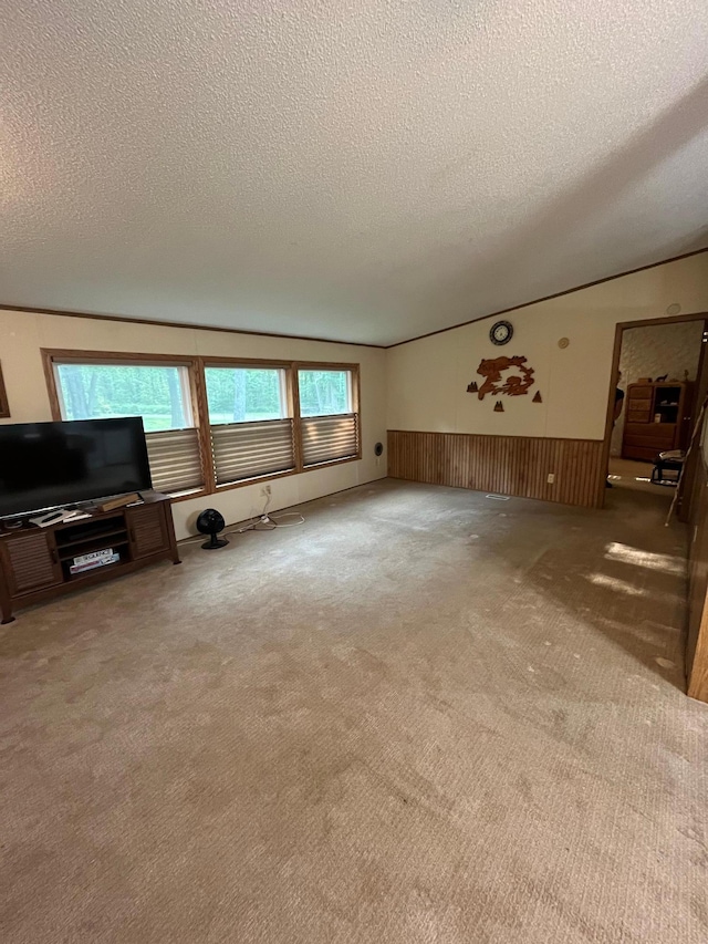 23324 State Highway 107, Grasston, MN 55030 - unfurnished living room with a textured ceiling, carpet flooring, wainscoting, and lofted ceiling