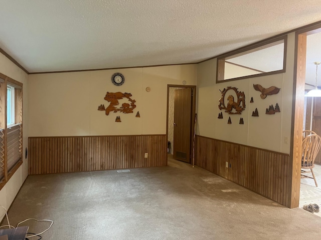 23324 State Highway 107, Grasston, MN 55030 - carpeted empty room with a textured ceiling, crown molding, a wainscoted wall, and wooden walls