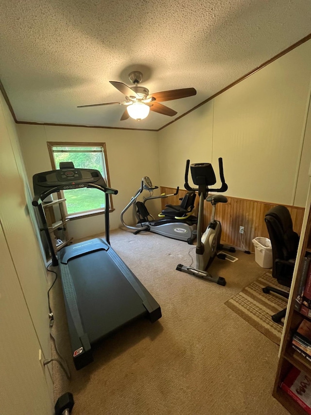 23324 State Highway 107, Grasston, MN 55030 - workout room with ceiling fan, a textured ceiling, carpet, wainscoting, and ornamental molding