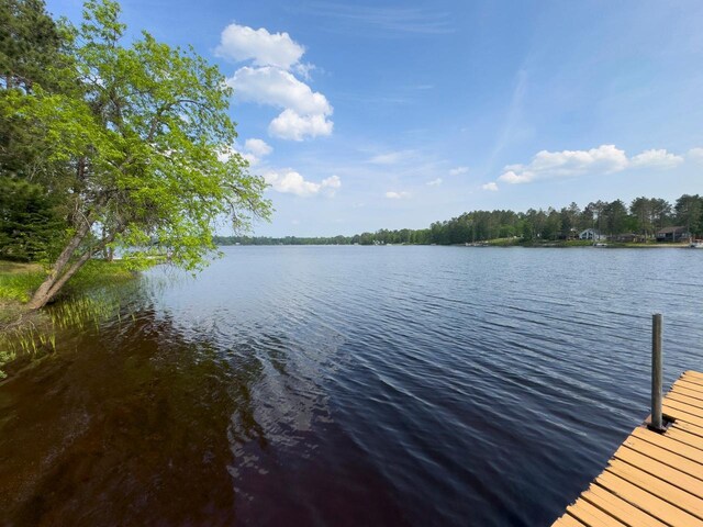 6476 Cypress Ln, Biwabik Twp, MN 55741 - photo 34