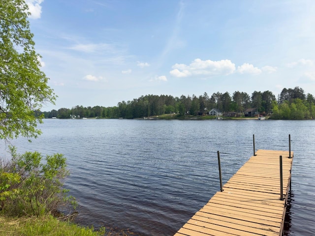 6476 Cypress Ln, Biwabik Twp, MN 55741 - photo 35