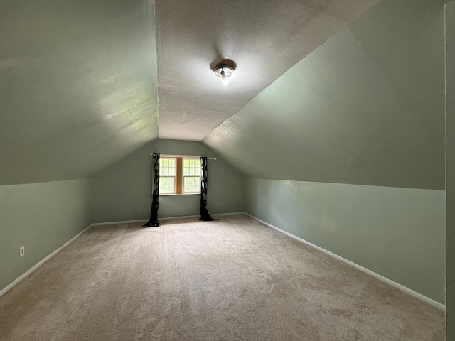 845 Sims Ave, Saint Paul, MN 55106 - bonus room with vaulted ceiling, carpet, baseboards, and a textured ceiling