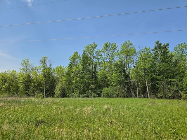 TBD Town Rd Unit 166, Littlefork, MN 56653