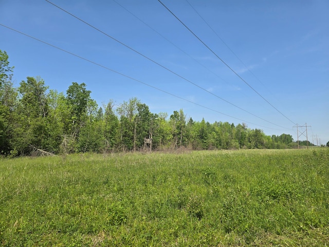 TBD Town Rd Unit 166, Littlefork, MN 56653