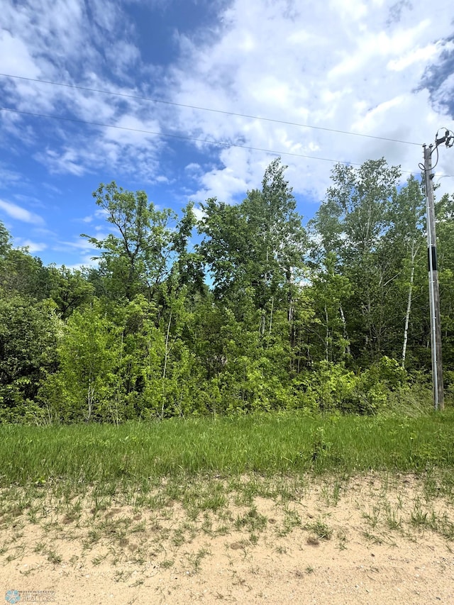 LOT7 Tbd Ln, Little Elbow Twp, MN 56589