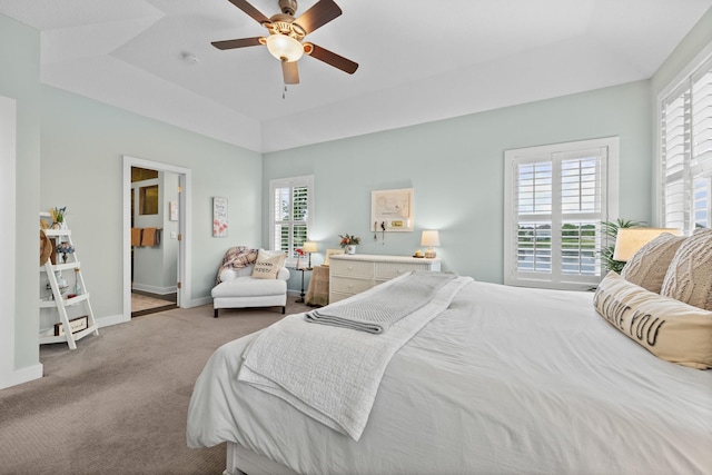 3710 Talero Curv, Chaska, MN 55318 - carpeted bedroom with a tray ceiling, baseboards, and a ceiling fan