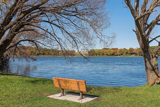 3710 Talero Curv, Chaska, MN 55318 - water view featuring a heavily wooded area