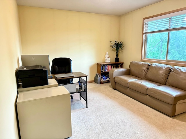766 County Road F E, Vadnais Heights, MN 55127 - photo 29