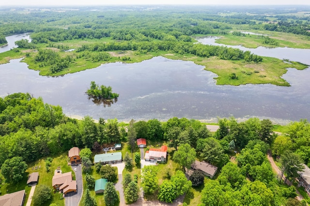 10275 Park Cir, Pine City, MN 55063 - bird's eye view of a nearby body of water and a heavily wooded area