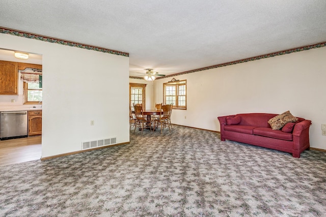 10275 Park Cir, Pine City, MN 55063 - carpeted living room with baseboards, a ceiling fan, a textured ceiling, and a sink