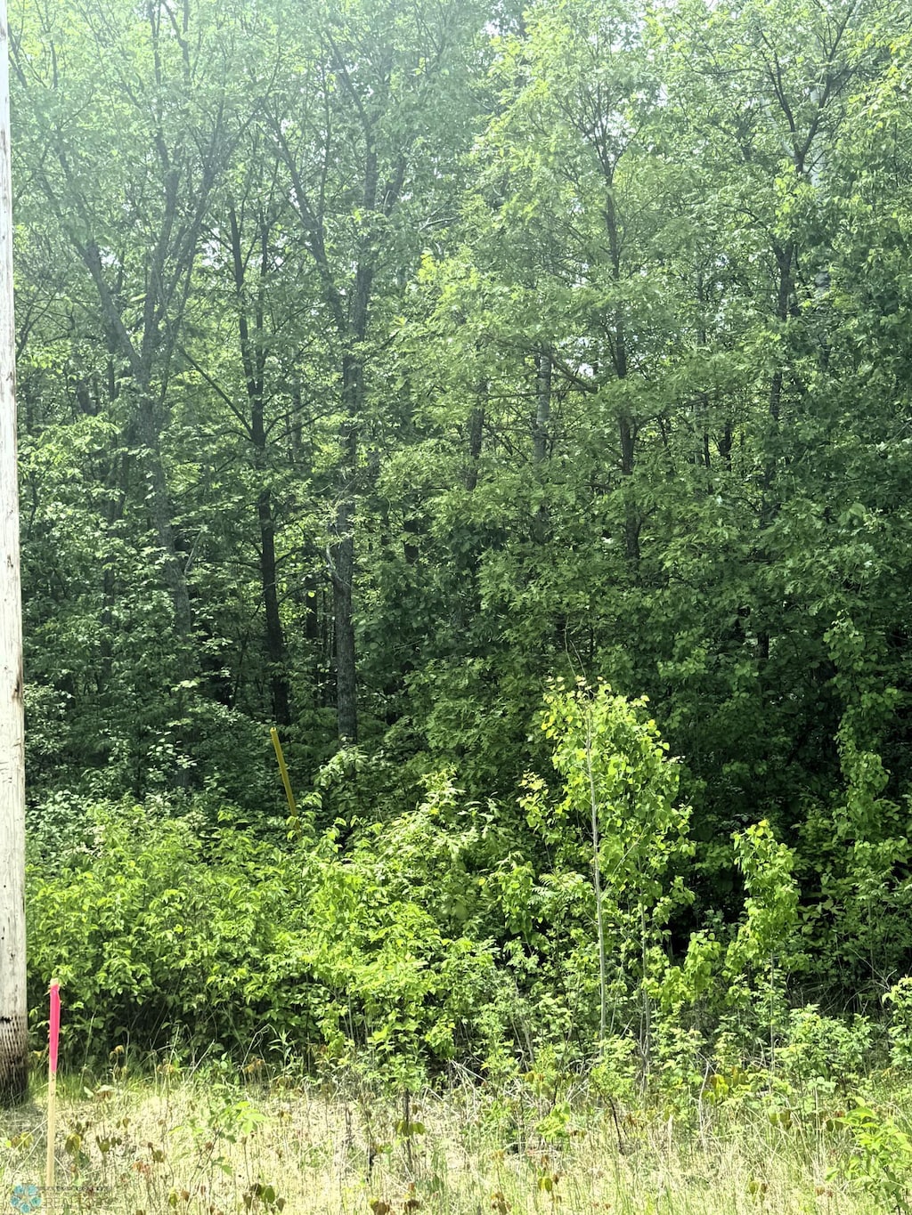 LOT8 Tbd Ln, Little Elbow Twp, MN 56589