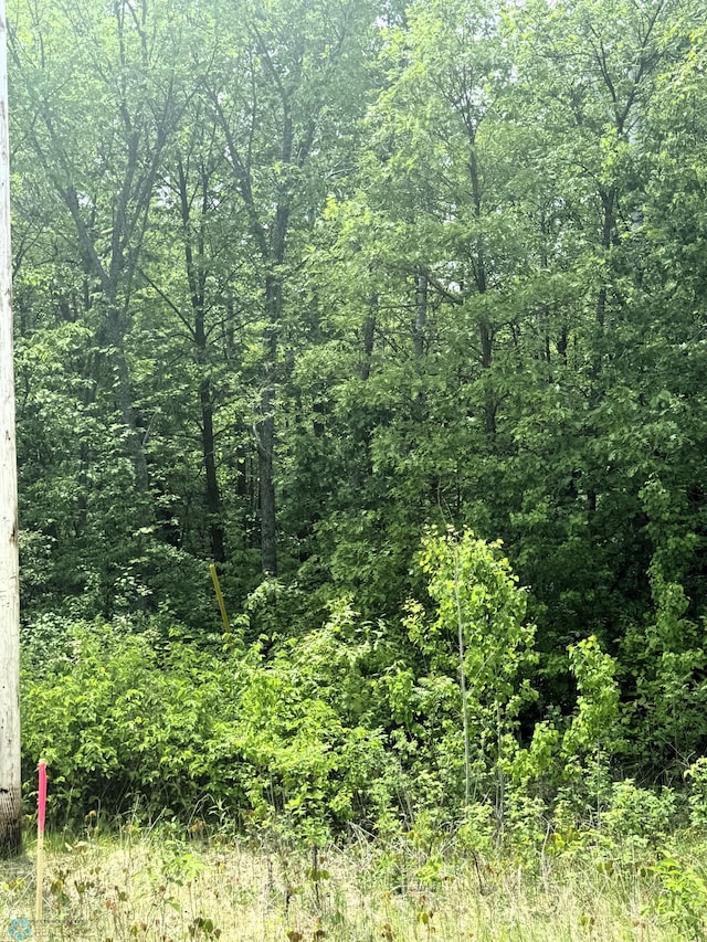 LOT8 Tbd Ln, Little Elbow Twp, MN 56589