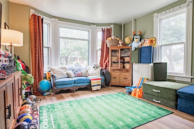 72 Mill St, Winona, MN 55987 - recreation room featuring wood finished floors and plenty of natural light